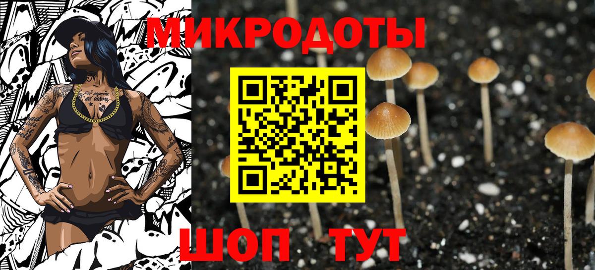 Петрозаводск  Галлюциногенные грибы ЛСД  Вход с VPN 