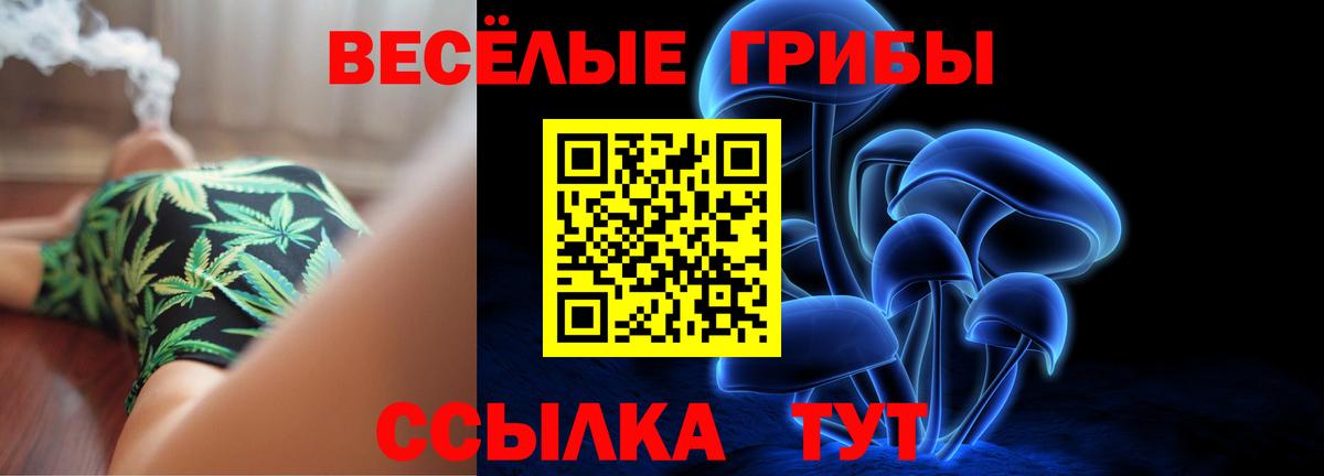 Галлюциногенные грибы GOLDEN TEACHER Петрозаводск